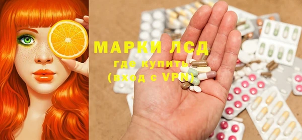 гидра Алзамай