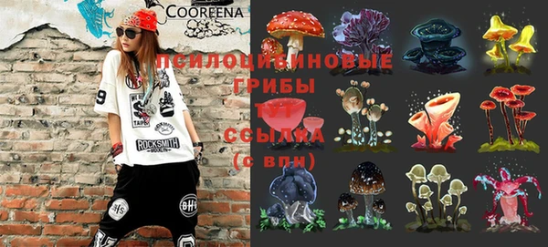 гидра Алзамай