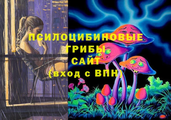 гидропоника Алексин