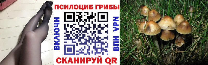 Псилоцибиновые грибы MAGIC MUSHROOMS  Катав-Ивановск 